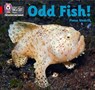 Odd Fish! - Fiona Undrill - 9780008410223