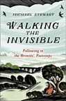 Walking The Invisible - Michael Stewart - 9780008430207