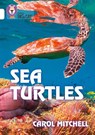 Sea Turtles - Carol Mitchell - 9780008432201