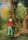 Bor of the Forest - RUSHTON,  Abbie - 9780008446321