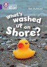 What's washed up on shore? - Ben Hubbard - 9780008754037