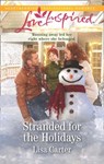 Stranded For The Holidays (Mills & Boon Love Inspired) - Lisa Carter - 9780008900694