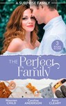 A Surprise Family: The Perfect Family: Having Her Boss's Baby (Pregnant by the Boss) / Their Meant-to-Be Baby / The Night That Started It All - Maureen Child ; Caroline Anderson ; Anna Cleary - 9780008916541
