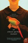 An Almost Perfect Moment - Binnie Kirshenbaum - 9780060520878