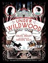 UNDER WILDWOOD - MELOY,  Colin ; Ellis, Carson - 9780062024718