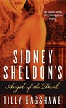 Sidney Sheldon's Angel of the Dark - Sidney Sheldon ; Tilly Bagshawe - 9780062073457