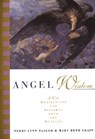 Angel Wisdom - Terry Lynn Taylor ; M B Cain - 9780062510679