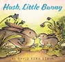 Hush, Little Bunny - David Ezra Stein - 9780062845221