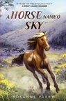 A Horse Named Sky - Rosanne Parry - 9780062995957