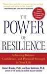 The Power of Resilience - Robert Brooks ; Sam Goldstein - 9780071431989