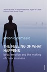 The Feeling Of What Happens - Antonio Damasio - 9780099288763