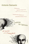 Looking For Spinoza - Antonio Damasio - 9780099421832