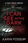 I Can See in the Dark - Karin Fossum - 9780099571834