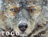 Togo - Robert J. Blake - 9780142409497