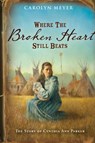 Where the Broken Heart Still Beats - Meyer Carolyn Meyer - 9780152956028