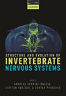 Structure and Evolution of Invertebrate Nervous Systems - ANDREAS (CURATOR,  Curator, Zoological Museum and Institute, University of Hamburg) Schmidt-Rhaesa ; Steffen (Professor of Cytology and Evolutionary Biology, Professor of Cytology and Evolutionary Biology, Zoological Institute, University of Greifswald) Harzsch ; Gunter (Professor of Zoology and Dev - 9780199682201