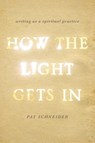 How the Light Gets In - Pat Schneider - 9780199933983