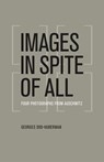 Images in Spite of All - Georges Didi-Huberman - 9780226148175