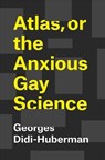Atlas, or the Anxious Gay Science - Georges Didi-Huberman ; Shane B. Lillis - 9780226439471