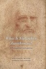 What is Nietzsche's Zarathustra? - Heinrich Meier - 9780226581736
