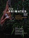 How Primates Eat - Joanna E. Lambert ; Margaret A. H. Bryer ; Jessica M. Rothman - 9780226829753