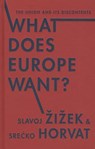 What Does Europe Want?: The Union and Its Discontents - Slavoj Zizek - 9780231171069