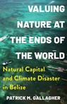 Valuing Nature at the Ends of the World - Patrick M. Gallagher - 9780231215664