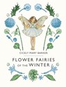 Flower Fairies of the Winter - Cicely Mary Barker - 9780241335482