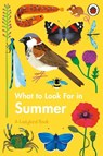 What to Look For in Summer - Elizabeth Jenner - 9780241416204