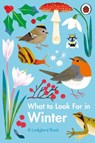 What to Look For in Winter - Elizabeth Jenner - 9780241416228