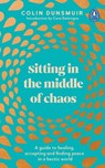 How to Find Stillness Within - Colin Dunsmuir - 9780241484555