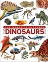 Our World in Pictures The Dinosaurs Book - DK ; John Woodward - 9780241515914