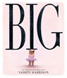 Big - Vashti Harrison - 9780241561928