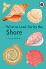 What to Look For by the Shore - Becky Brown - 9780241626139