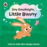 Say Goodnight, Little Bunny - Ladybird - 9780241627303