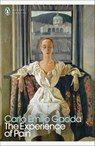 The Experience of Pain - Carlo Emilio Gadda - 9780241706992