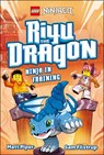 LEGO NINJAGO Riyu the Dragon Ninja in Training - Matt Piper - 9780241810897