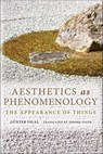Aesthetics as Phenomenology - Günter Figal - 9780253015655
