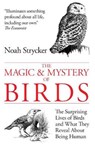 The Magic & Mystery of Birds - Noah Strycker - 9780285643239