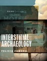 Interstitial Archaeology - Felicia Zamora - 9780299353445