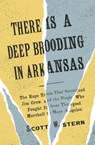 There Is a Deep Brooding in Arkansas - Scott W. Stern - 9780300273571