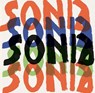Sonia Delaunay - Rachel Silveri ; Cecile Godefroy ; Gail Levin ; Margarete Zimmermann - 9780300275766