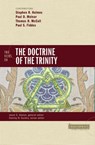 Two Views on the Doctrine of the Trinity - Stephen R. Holmes ; Paul D. Molnar ; Thomas H. McCall ; Paul Fiddes ; Jason S. Sexton ; Stanley N. Gundry - 9780310498131