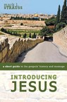 Introducing Jesus - Mark L. Strauss - 9780310528586