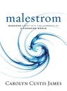 Malestrom - Carolyn Custis James - 9780310586258