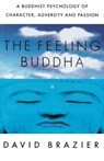 The Feeling Buddha - David Brazier - 9780312295097