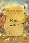 A Many Waters - Madeleine L'Engle - 9780312368579