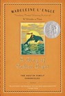 A Ring of Endless Light - Madeleine L'Engle - 9780312379353