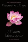 A House Like a Lotus - Madeleine L'Engle - 9780312547981