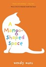 A Mango-Shaped Space - Wendy Mass - 9780316058254
